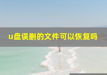 u盘误删的文件可以恢复吗