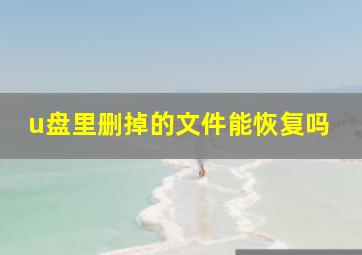 u盘里删掉的文件能恢复吗