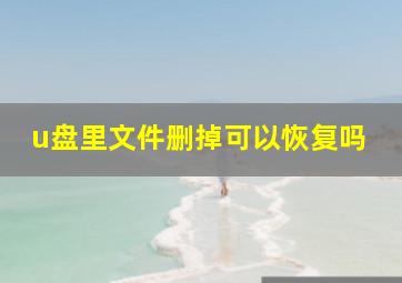 u盘里文件删掉可以恢复吗