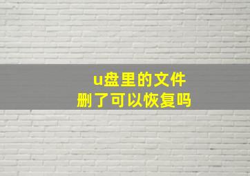 u盘里的文件删了可以恢复吗