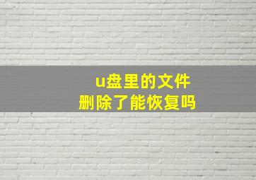 u盘里的文件删除了能恢复吗