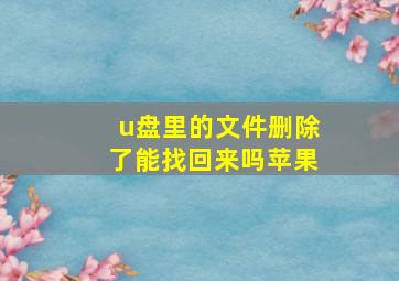 u盘里的文件删除了能找回来吗苹果