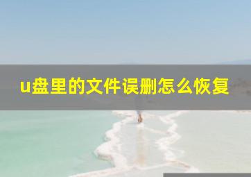 u盘里的文件误删怎么恢复