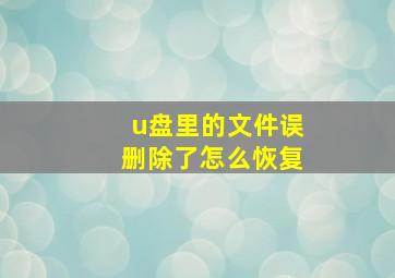 u盘里的文件误删除了怎么恢复