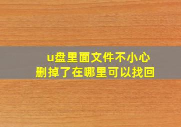 u盘里面文件不小心删掉了在哪里可以找回