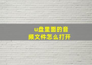 u盘里面的音频文件怎么打开