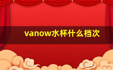 vanow水杯什么档次