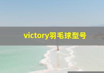 victory羽毛球型号