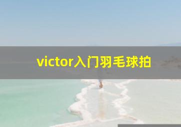 victor入门羽毛球拍