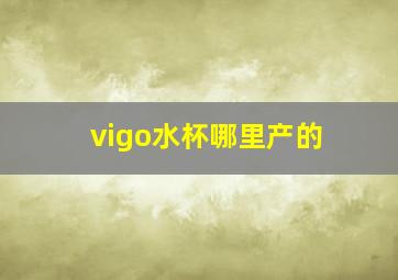 vigo水杯哪里产的