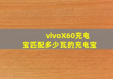 vivoX60充电宝匹配多少瓦的充电宝