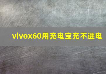 vivox60用充电宝充不进电