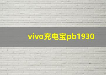 vivo充电宝pb1930