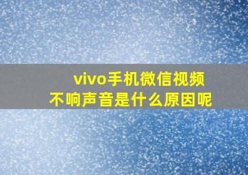 vivo手机微信视频不响声音是什么原因呢