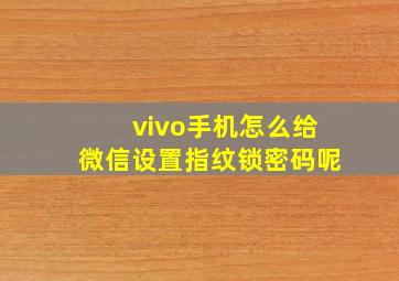 vivo手机怎么给微信设置指纹锁密码呢