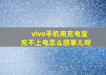 vivo手机用充电宝充不上电怎么回事儿呀