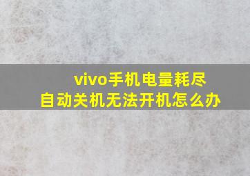 vivo手机电量耗尽自动关机无法开机怎么办