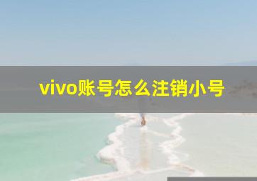 vivo账号怎么注销小号