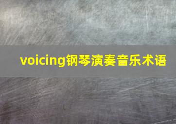 voicing钢琴演奏音乐术语