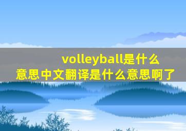 volleyball是什么意思中文翻译是什么意思啊了