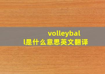 volleyball是什么意思英文翻译