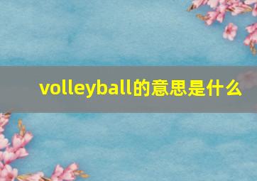 volleyball的意思是什么