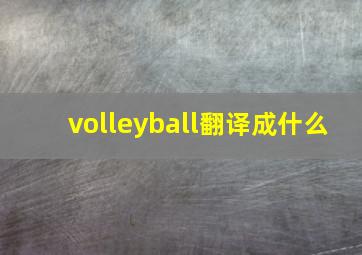 volleyball翻译成什么