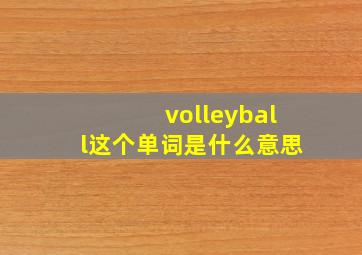 volleyball这个单词是什么意思