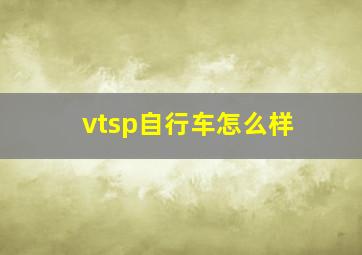 vtsp自行车怎么样