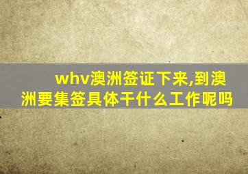 whv澳洲签证下来,到澳洲要集签具体干什么工作呢吗