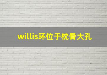 willis环位于枕骨大孔