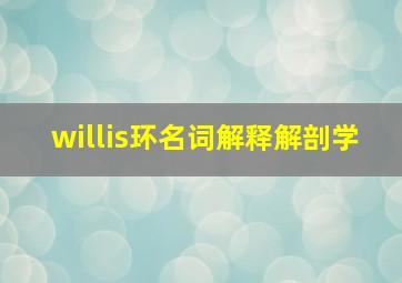 willis环名词解释解剖学