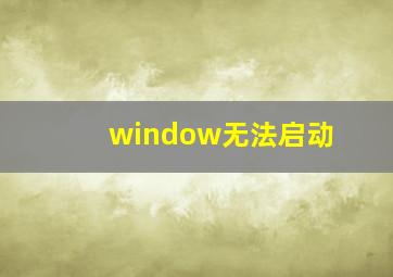 window无法启动