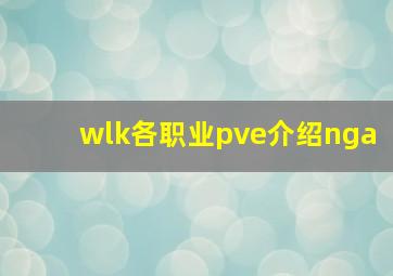 wlk各职业pve介绍nga