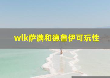 wlk萨满和德鲁伊可玩性