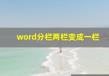 word分栏两栏变成一栏