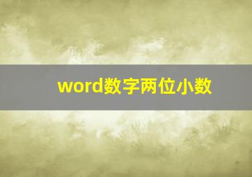 word数字两位小数