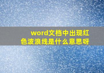 word文档中出现红色波浪线是什么意思呀