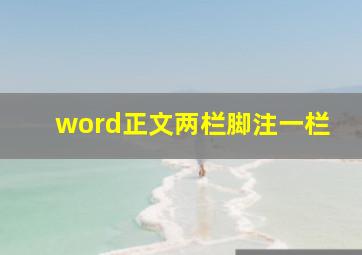 word正文两栏脚注一栏