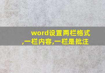 word设置两栏格式,一栏内容,一栏是批注