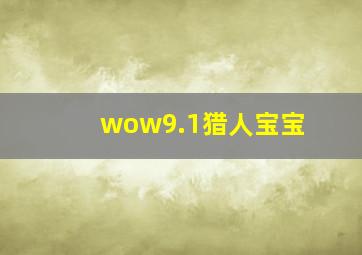 wow9.1猎人宝宝