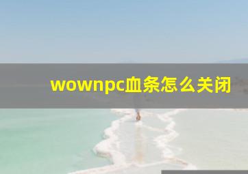 wownpc血条怎么关闭