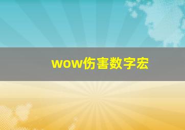 wow伤害数字宏