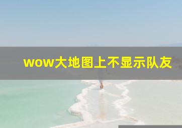 wow大地图上不显示队友