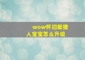 wow怀旧服猎人宝宝怎么升级