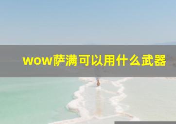 wow萨满可以用什么武器