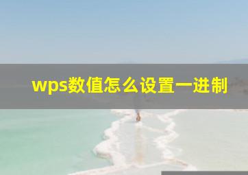 wps数值怎么设置一进制