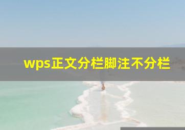 wps正文分栏脚注不分栏