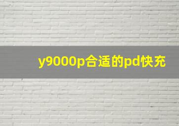 y9000p合适的pd快充