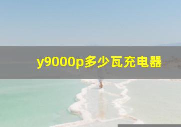 y9000p多少瓦充电器